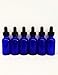 Premium Vials B123-6 Boston Round Glass Bottle with Dropper, 1/2 oz Capaciy, Blue (Pack of 6)