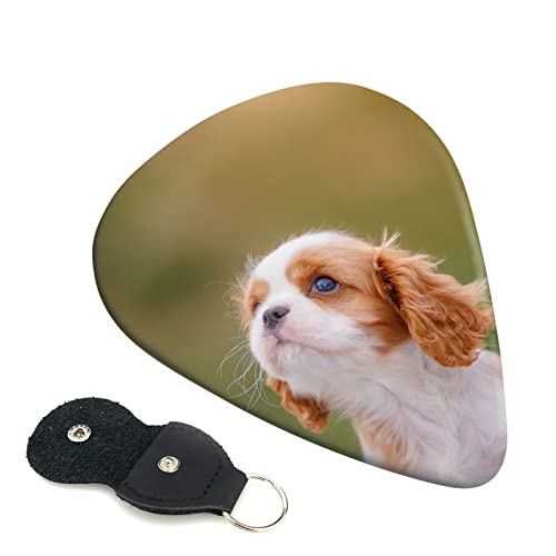 M^[sbN 6Zbg 0.46mm 0.71mm 0.96mm GLM^[ x[XpsbN EN M^[ ABSf GNgbN AR[XeBbN y S gCAO sbNi LoÅ j