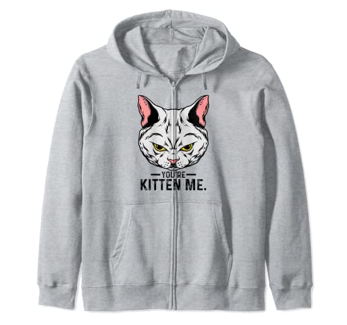 You Kitten Me Cat Lover Cat Owner Cat Trainer Animal Pets Sudadera con Capucha