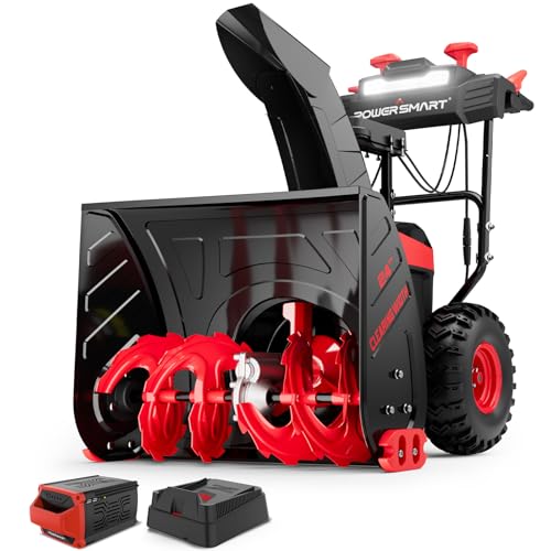 PowerSmart 80V Cordless