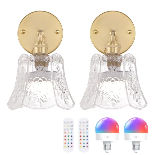 Image of Shenmoyl Vintage Battery Operated Wall Sconces Set of Two, Wireless Battery Powered Rose Wall Sconce with Remote Control, RGB Dimmable LED Wall Light for Bedside Indoor Living Room (Transparent)