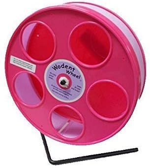 Pink Hamster Wheel, the Wodent Wheel 'Jr.' 8" with Lavender Track