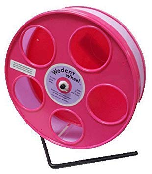 Pink Hamster Wheel, the Wodent Wheel 'Jr.' 8" with Lavender Track