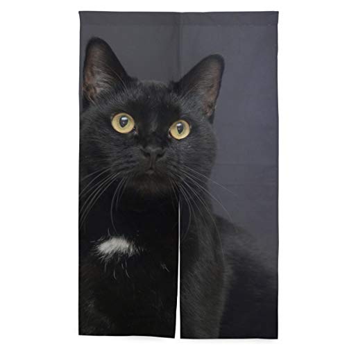 KaariDream ̂ Ռ ډB  g O  J[e Ԏd؂ ՔM lR L L L Aj}  ubN 킢  HX CeA o Xg ƒp Ɩp ˂_t 86x143cm