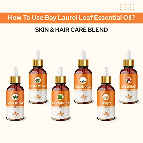 Image of Crysalis Bay Laurel Leaf (Laurus Nobilis) Oil|100% Pure & Natural Undiluted Essential Oil Organic Standard For Skin & Hair Care|Therapeutic Grade Oil- 15ml with dropper