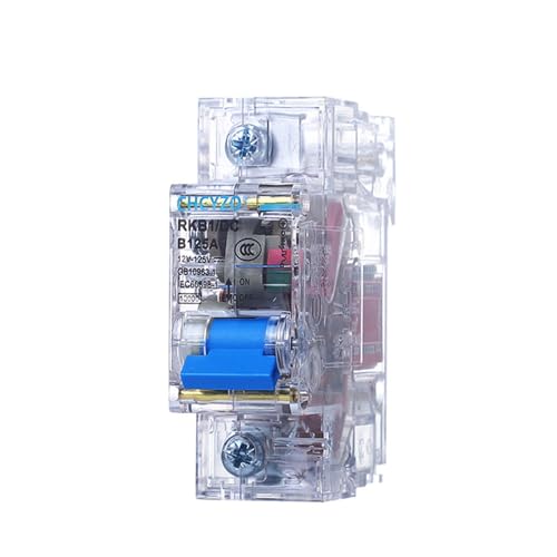 Disjoncteur CC 100A boîtier transparent pour circuit 24V à 120V
