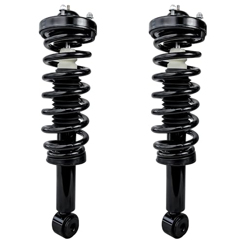 Image of Detroit Axle - RWD Front Struts for 2009-2013 Ford F-150, Complete 2 Struts with Coil Spring 2010 2011 2012 Replacement Suspension Quick Install Ready Strut Shocks Assembly