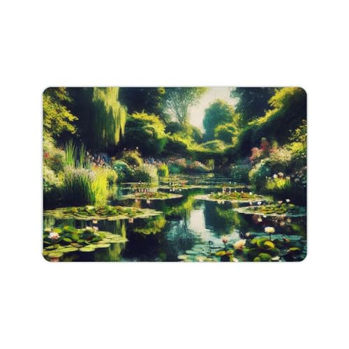 Anceky Tappetini di fango diatomeico con ninfee, tappeto da bagno antiscivolo ad asciugatura rapida per la casa, ecologico e facile da pulire, 24x16 pollici