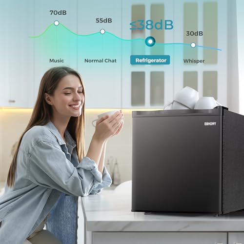 Euhomy RSD-16H-02 1.7 Cu.Ft Mini Fridge With Freezer, Reversible Single Door Compact Refrigerator thumb #6