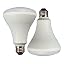 Soft White - Non-Dimmable - 2-pack