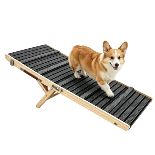 Rampa per cani, antiscivolo, extra larga, pieghevole, con collegamento senza cuciture alla piattaforma, portata fino a 50 kg, regolabile, divano, letto, auto per cani di taglia piccola, media (M)
