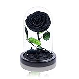 Handmade Preserved Roses in Glass Dome Valentines Day Gifts for Her, Black Real Roses That Last Over a Year, Eternal Glass Roses for Her, Mothers Day, Christmas Day, Birthday Day, Anniversary Day