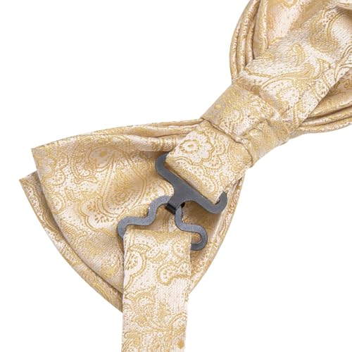 Image of Hi-Tie Men Champagne Paisley Pre-tied Bowties and Tie Set Necktie Bow Tie Pocket Square Cufflinks Lapel Pin 5Pcs Set Tuxedo Suit