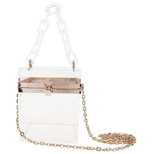 Sac transparent acrylique FRCOLOR idéal pour festivals et soirées branchées