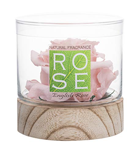 Home Scent 12oz Natural & Months Lasting Fragrance Roses Soothing Aromatherapy Gift Birthday Gifts Gifts for her. Living Room Decor Farmhouse Decor (Pale Pink/Scent Fruity Floral) - Thumbnail 3