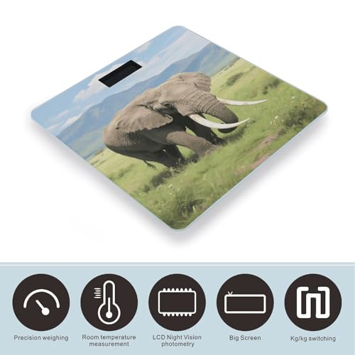 Balanza digital de baño con plataforma de vidrio templado miniatura 3