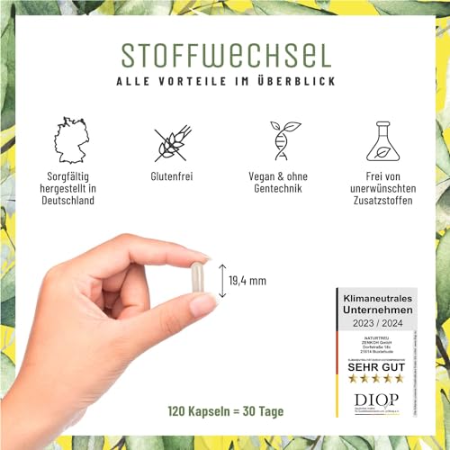 Stoffwechsel Kapseln Diät Unterstützung - Hochdosiert mit Grünem Tee, Forskohlii, Cholin, Spargel, Bittermelone, Garcinia Cambogia & Chrom - 120 Stoffwechsel Kapseln vegan von NATURTREU® – Bild 3