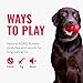 KONG Tug Toy - Dog Supplies for Tug of War - Natural Rubber Dog Toy for Outdoor & Indoor Playtime - for Medium/Large Dogs