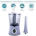 Air Innovations MH-801BA 2.15 Gallon Cool Mist Dual Tank Digital Humidifier with Aromatherapy For Large Rooms Up To 700 Square Feet (Platinum)