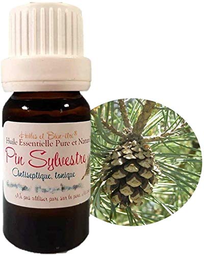 Huile Essentielle HEBBD de PIN Sylvestre (Pinus sylvestris) 10ml
