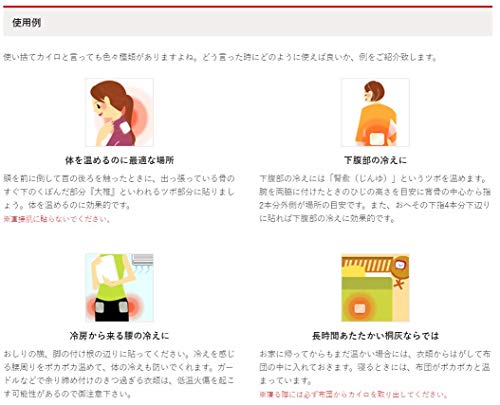 最安値 桐灰化学 桐灰カイロ 黒いはるカイロ 袋8個の価格比較