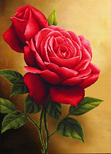 Shayee 5D DIY Diamond Painting Bright Rose Diamond Embroidered Resin Diamond Living Room Wall Art Decor Gift (30 x 40cm)