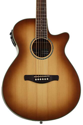 Ibanez / AEG10II-NNB アイバニーズ