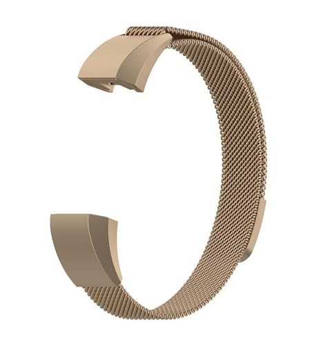 JUSUTEK �v�V For Fitbit Alta HR/Alta/ACE ���C�z���҂ޖԃX�e�����X�|���v�o���h �x���g, ��p�ڑ����C���̓}�O�l�b�g�� �r���v���� �����x���g �j���������p (���g����, S �T�C�Y)
