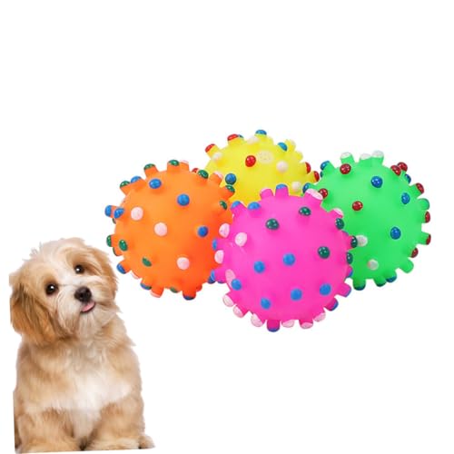 ORFOFE 8錢p{[ v~AvX`bN ybg̊ VԂ fXgNeBurwCrǍy _