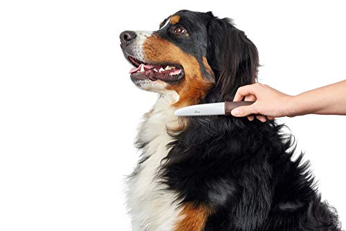 HUNTER - Pettine Cura/Prong Rotary M