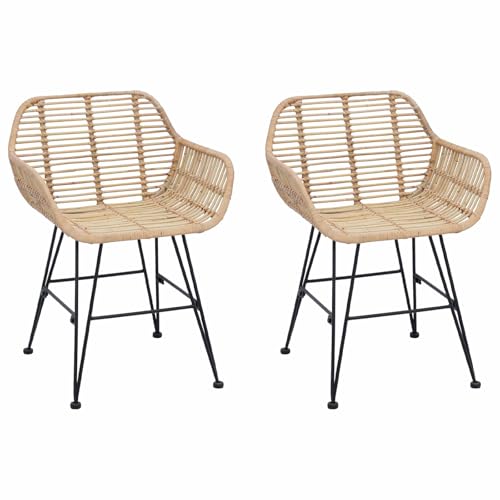 vidaXL Silla de Comedor 2 pcs Natural 55 x 50 x 74 cm Ratan e Hierro, Sala de Estar, Moderno, Duradero, Muebles multifuncionales para Comodidad, Estilo y versatilidad óptimos en Cualquier Entorno del