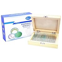 Algopix Similar Product 15 - 25 Prepared Microscope Slides for Kids