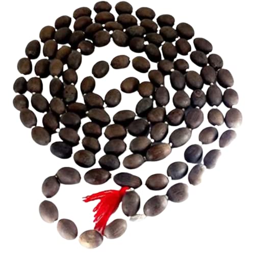 Astro Cart Kamal Gatte Ki Mala Original 108 Beads Kamal Gatta Mala Lotus Beads Rosary कमल गट्टा माला Blessing of Goddess Lakshmi for Jaap Puja Kamal beej ki Malas
