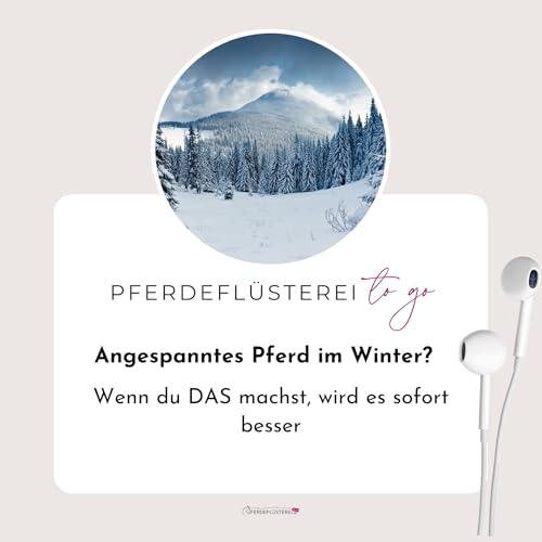 Warum dein Pferd im Winter pl&ouml;tzlich bockt (und es ist nicht, was du denkst)