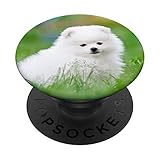 white teacup pomeranian puppies for sale near me Nota: no se adherirá a algunos estuches de silicona, impermeables o altamente texturizados.
