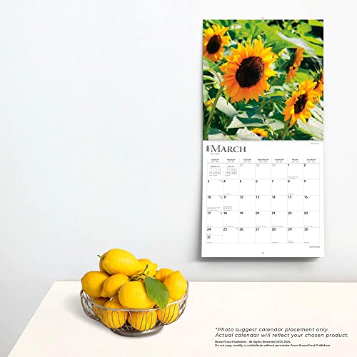 Sunflowers | 2024 12 x 24 Inch Monthly Square Wall Calendar | BrownTrout | Flower Floral Plant Outdo