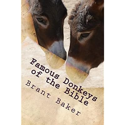 Famous Donkeys of the Bible