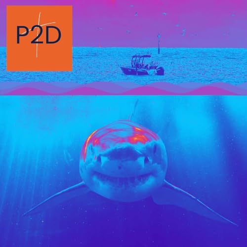 Page de couverture de Episode 11 - A Bigger Boat: Risk, Faith, and Failing Forward