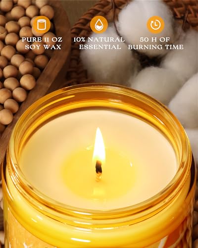 Image of AOOVOO Citrus Lemon 11oz Large Odor Eliminating Highly Fragranced Candle - Eliminates 95% of Smoke, Food, Pet and Other Smells Quickly, Air Freshing Soy Candles, Up to 50 Hours Burn time
