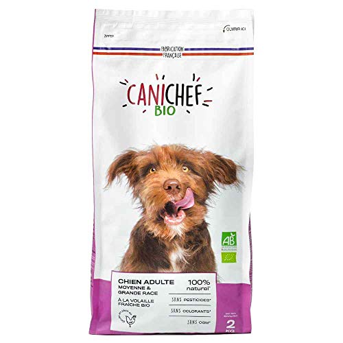 pour Chien