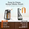 Water Dental Flosser Teeth Pick: Bitvae 2 Pack Portable Cordless Oral Irrigator, 3 Modes 5 Intensities, Rechargeable Water Dental Picks for Cleaning with 12 Tips, Travel Irrigation Cleaner for Teeth