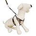 CueCue Pet Choke Free Harness with Leash, Small, Brown Plaid