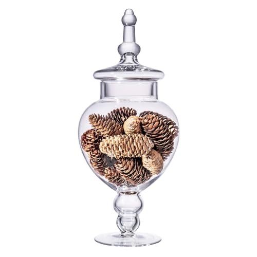 Large Glass Apothecary Jars with Lid Clear Glass Candy Jar for Candy Buffet Decorative Glass Jar for Party Wedding and Home Decor Elegant Glass Candy Canister (Height: 15 Diameter: 6.3)