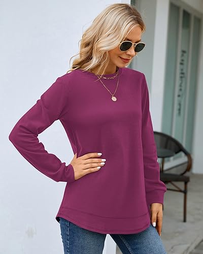 Image of MOLERANI Sweatshirts for Women Casual Long Sleeve Crewneck Shirt Tunic Tops | Pullovers, Soft Lightweight Warm Fabric, Loose Fit, Fall Winter Trendy Clothes, Daily Wear, Workout, Outdoor Outfits