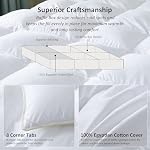 Luxury Goose Down Comforter Twin/Twin XL Goose Feather Duvet,750 Fill Power,Filled with Feather and DownFiber 70 OZ-All Season White Duvet Insert- 100% Organic Cotton 8 Corner Tabs 68 x 90 Inch