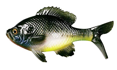 Leurres Souples 13 Fishing BAMF Shad - Epic Shad - Pack De 2 - Swimbaits