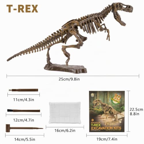 MUSCCCM Tyrannosaurus Ausgrabungsset für Kinder,3D Dinosaur Skelett Dig Kit – Ansicht 4