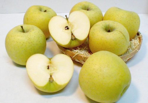 Y@ MB @VimS[h 5kg@14`16