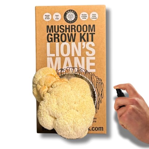 Lions Mane Mushroom Growing Kit XL - Harvest in 20 Days - Growth Guaranteed - Ideal Mushroom Gifts Foodie/Gardening Fun Easy & Delicious | Grow Your Own Lions Mane