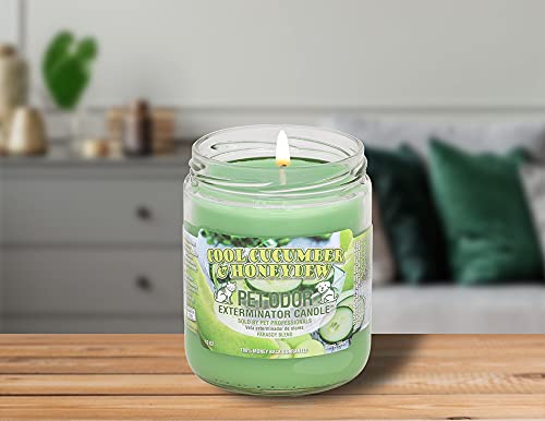Image of Pet Odor Exterminator Candle 13oz jar, Cool Cucumber & Honeydew